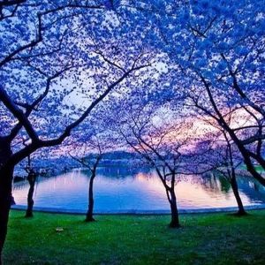 Meet your Posher, Tanya